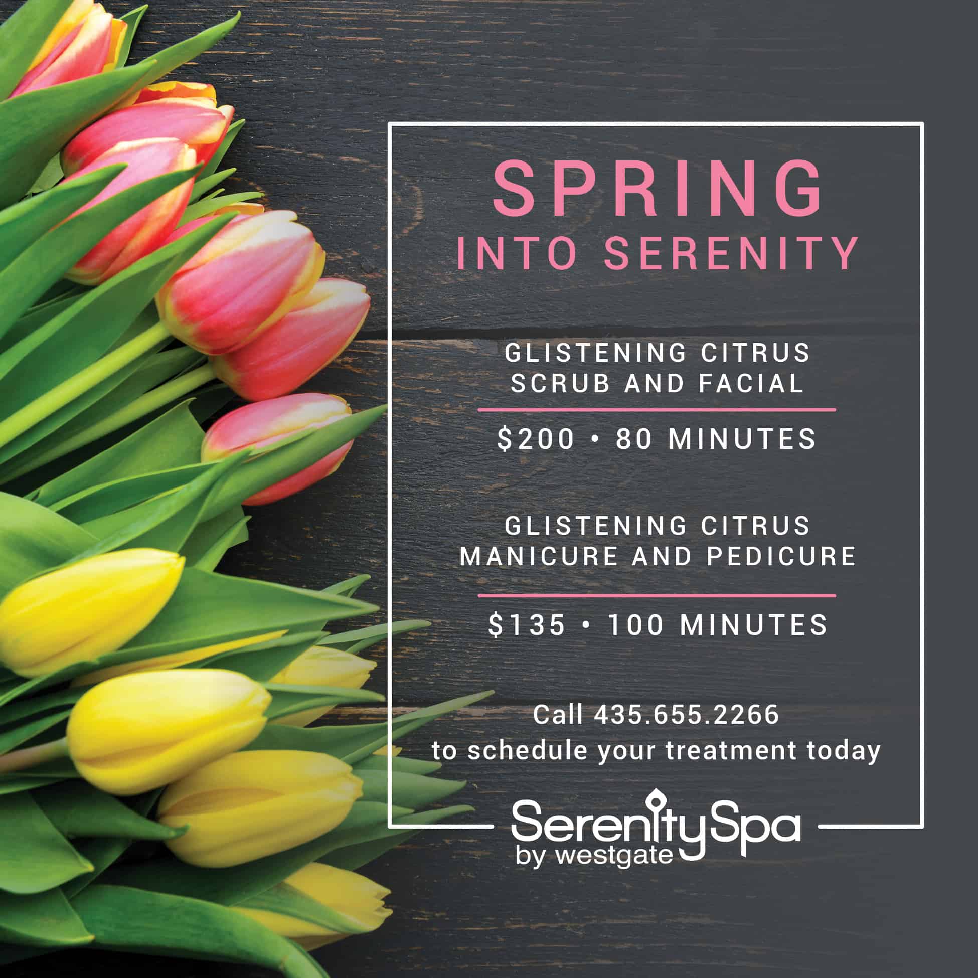 Serenity Spa Spring Specials